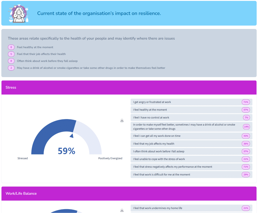Cari organisational wellbeing and performance report showing analysis across five pillars